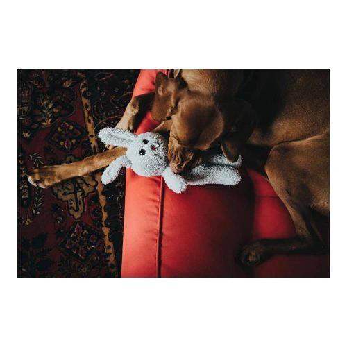 TERNI BÁRÁNY , HUNTER , SÍPOLÓS