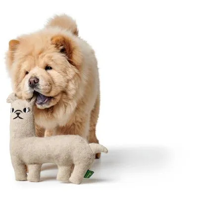 Tirana LÁMA - újrahasznosított anyagból , Hunter