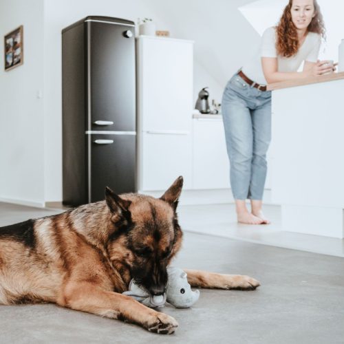 Tough RINOCÉROSZ kutyajáték , Hunter