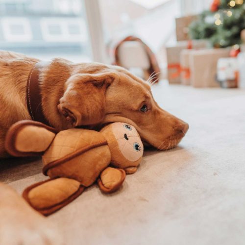 Tough RINOCÉROSZ kutyajáték , Hunter