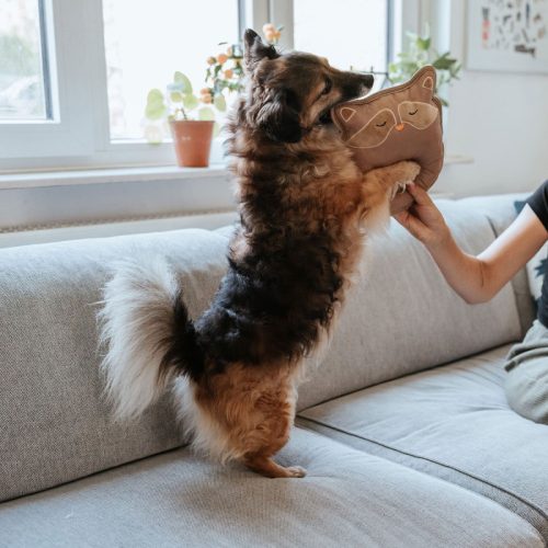 Tough Tundra EGÉR , Hunter