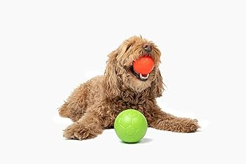 Jolly Ball Mini Soccer 10cm - rágásbiztos labda - zöld 