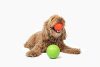 Jolly Ball Mini Soccer 7,5cm - rágásbiztos labda - Narancs