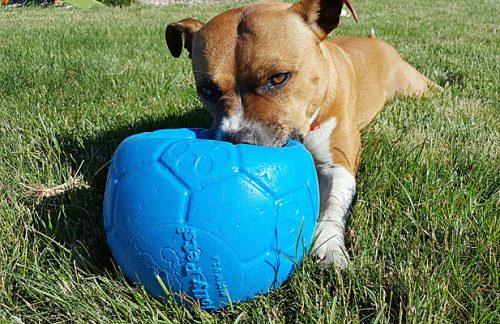 Jolly Soccer Ball - 15cm -rágásbiztos labda - KÉK