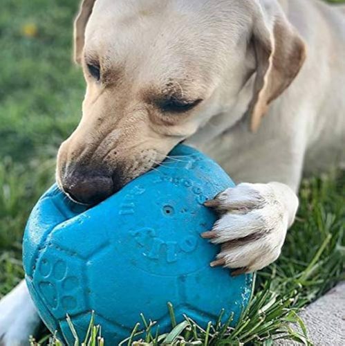 Jolly Soccer Ball - 20cm -rágásbiztos labda - KÉK