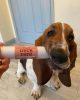 100% Kacsa tréning rolád 200 g, JR Pet Products
