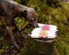 100% Lazac tréning rolád 200 g, JR Pet Products