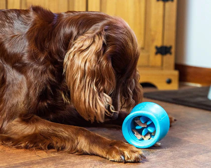 100% Nyúl tréning rolád 400 g, JR Pet Products