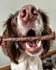 AKCIÓS 100% Kecskehús stick 50 g, JR Pet Products