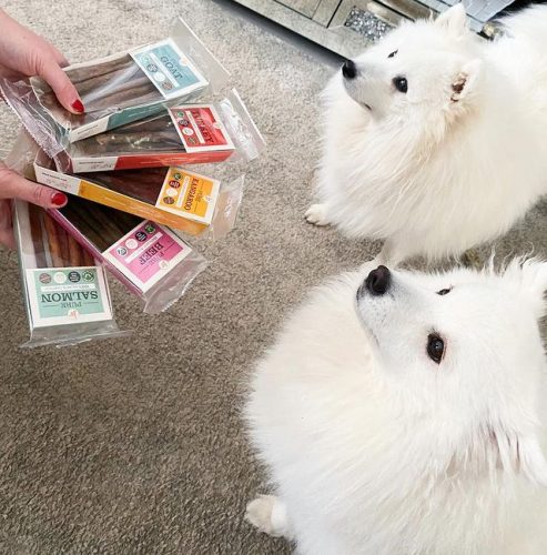 100% Kenguruhús stick 50 g, JR Pet Products