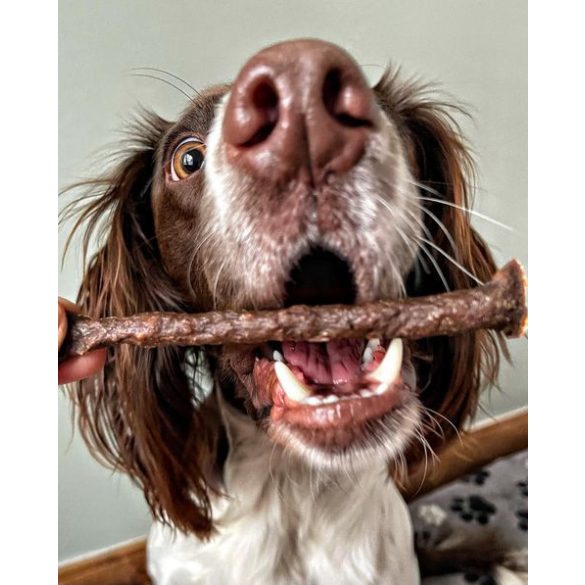 100% Strucchús stick 50 g, JR Pet Products