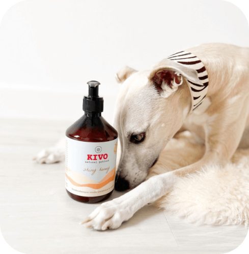 Shinny Honey - Kutyasampon argánolajjal és mézzel , 500ml , Kivo