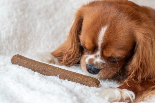 Take & Break Ropogós Húsrúd , Kivo