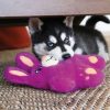 Snuzzles Nyuszi , Kong