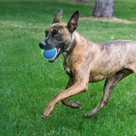 KONG® Squeakair® Ultra Balls 1db , Kong