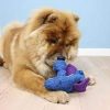 Woozles kék , Kong