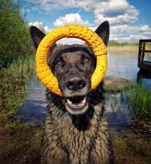 Karika úszó Mini Kék , Kiwi Walker