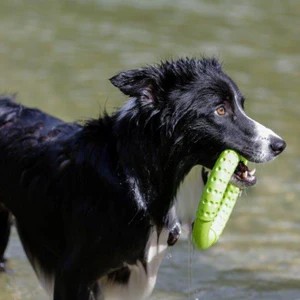 Karika úszó Mini Pink , Kiwi Walker