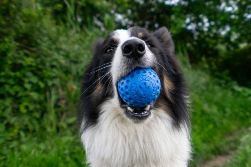 Labda Pink MINI , Kiwi Walker