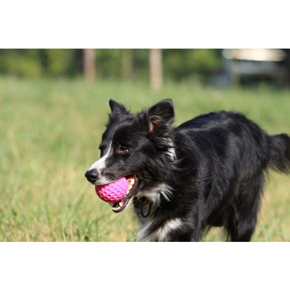 Labda Pink , Kiwi Walker
