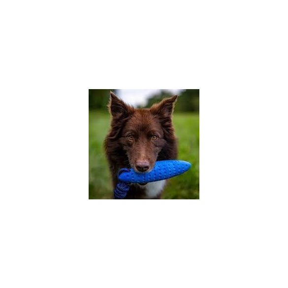 Köteles kutyajáték Zeppelin Mini Kék , Kiwi Walker