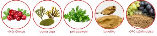 Dentanol 100% természetes fogkő és szájszag elleni por  , Leiky 