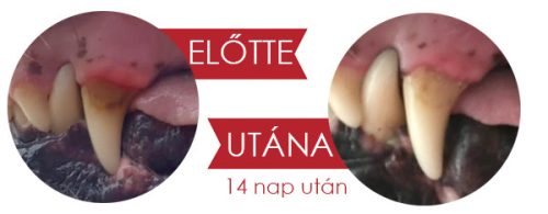 Dentanol 100% természetes fogkő és szájszag elleni por  , Leiky 
