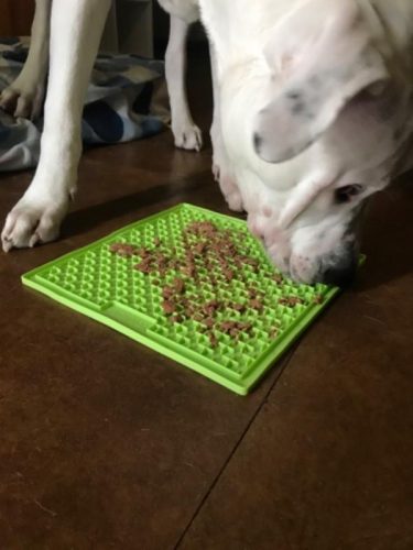 LICKIMAT® CLASSIC BUDDY™ LARGE  - NARANCS