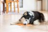 LICKIMAT® CLASSIC BUDDY™ LARGE  - NARANCS
