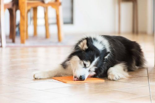 LICKIMAT® CLASSIC BUDDY™ LARGE  - NARANCS