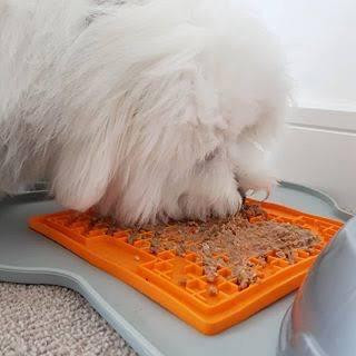 LICKIMAT® CLASSIC BUDDY™_ ZÖLD