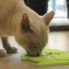 LICKIMAT® CLASSIC CASPER™_ LILA
