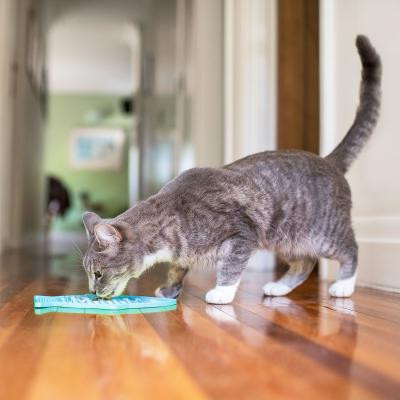 LICKIMAT® CLASSIC CASPER™_ PINK