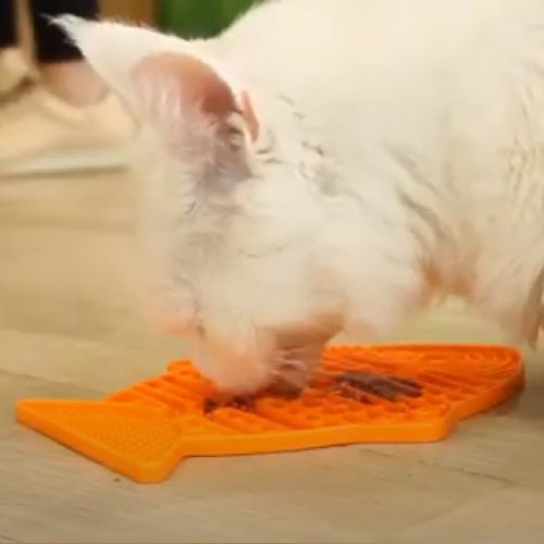 LICKIMAT® CLASSIC CASPER™_ TÜRKÍZ