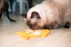 LICKIMAT® CLASSIC FELIX™_ NARANCS