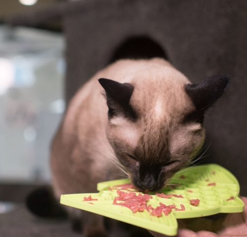 LICKIMAT® CLASSIC FELIX™_ PINK