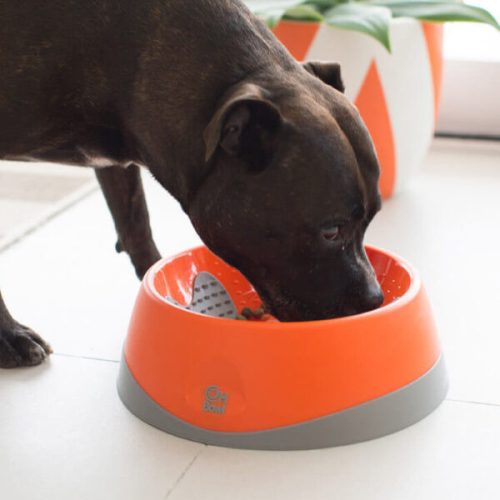 LickiMat® OH Bowl® Nyelvtisztító tál  L - Fekete