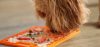 LICKIMAT® CLASSIC PLAYDATE™_ LILA