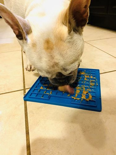 LICKIMAT® CLASSIC PLAYDATE™_ NARANCS
