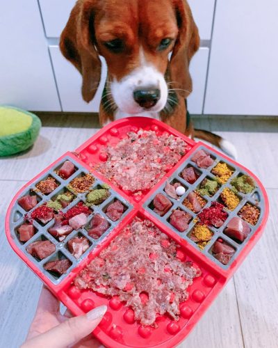 LICKIMAT® SLOMO™_ LILA