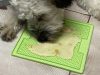 LICKIMAT® CLASSIC SOOTHER™_ NARANCS