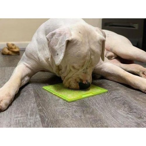 LICKIMAT® CLASSIC SOOTHER™_ NARANCS