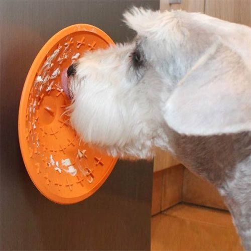LickiMat® Splash™ nyalogató tál - Narancs