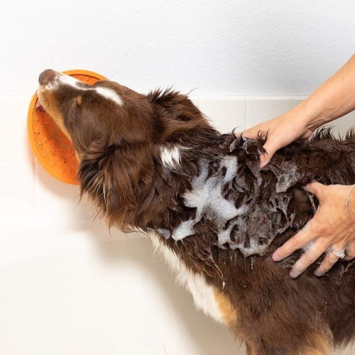 LickiMat® Splash™ nyalogató tál - Narancs
