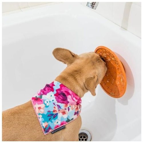 LickiMat® Splash™ nyalogató tál - Türkiz 