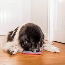 LICKIMAT® TUFF PLAYDATE™_ TÜRKIZ