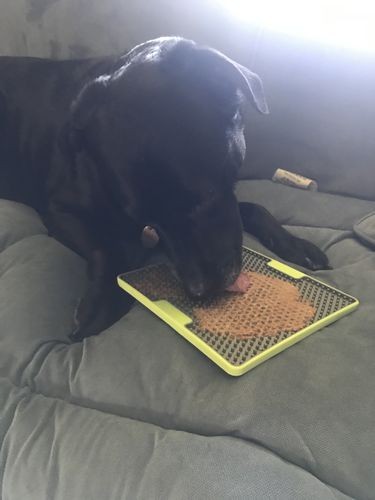 LICKIMAT® TUFF SOOTHER™_ NARANCS