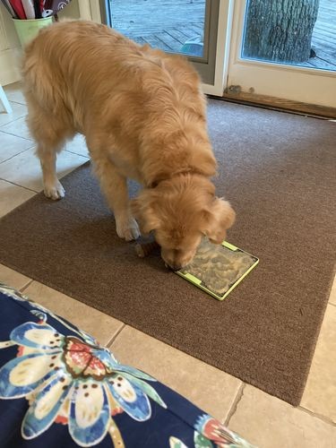LICKIMAT® TUFF SOOTHER™_ NARANCS