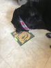 LICKIMAT® TUFF PRO SOOTHER™_ ZÖLD
