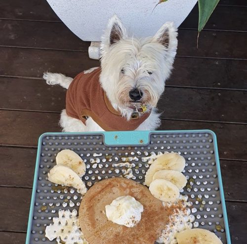 LICKIMAT® TUFF SOOTHER™_ TÜRKIZ